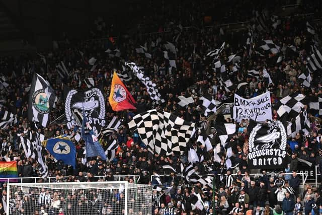 Newcastle United would make it six wins in a row at St James's Park if they defeat Crystal Palace (Photo by Stu Forster/Getty Images)