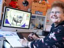 Sheila Graber has illustrated book, Luna The Moon Pig, among others