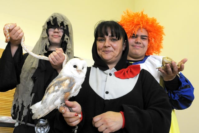 A Halloween themed animal handling session at South Shields Museum in 2013. Remember it?