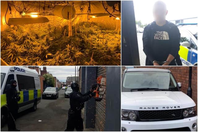 Police discovered two cannabis farms and three suspected stolen vehicles