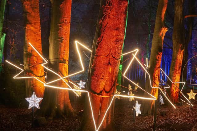 Tree Stars by Culture Creative, My Christmas Trails 2020. Photo by Richard Haughton