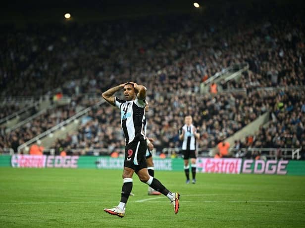 Callum Wilson in action for Newcastle United (Photo by OLI SCARFF/AFP via Getty Images)