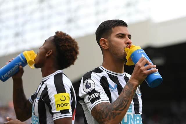Newcastle United players Joe Willock (l) and Bruno Guimaraes take on water during the Premier League match between Newcastle United and Nottingham Forest at St. James Park on August 06, 2022 in Newcastle upon Tyne, England. (Photo by Stu Forster/Getty Images)