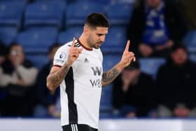 Fulham striker Aleksandar Mitrovic. (Photo by Shaun Botterill/Getty Images)