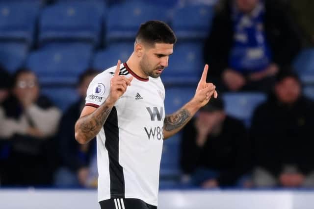 Fulham striker Aleksandar Mitrovic. (Photo by Shaun Botterill/Getty Images)