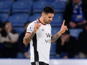 Fulham striker Aleksandar Mitrovic. (Photo by Shaun Botterill/Getty Images)