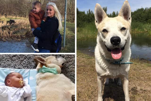 Lauren Davis with her son Jesse and Ellie the dog who died just weeks after Jesse's birth.