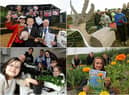 Allotment photos galore but who do you recognise in these photos.