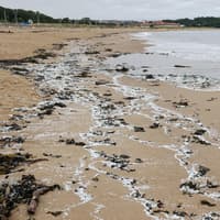 River Tyne nurdle spill review faces calls for transparency