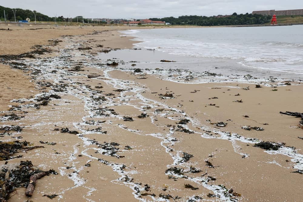Nurdles on Littlehaven Beach, in South Shields, just days after the spill in July.
