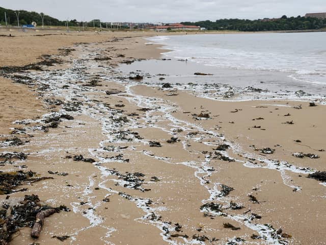 Nurdles on Littlehaven Beach, in South Shields, just days after the spill in July.