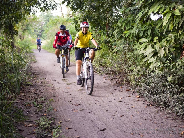 The area known as The Dukeries, between Mansfield and Worksop, passes through the former ducal estates of Welbeck, Thoresby and Clumber, not to mention Sherwood Forest. Packed with historical and industrial interest, it is also home to a spectacular cycle trail covering a total of 32 miles. Try it all and return home by train, or tackle it bit by bit.