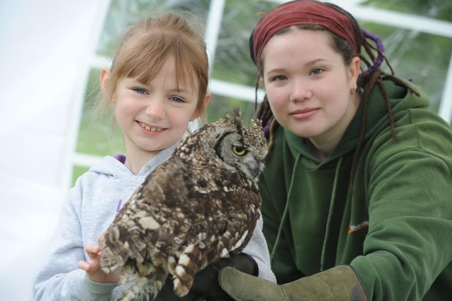Ellie Hallway held an African Spotted owl with Riverside Falconry's Steph Crosthwaite at the 2016 festival.