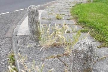 Concerns have been raised about overgrown weeds in Ashbourne Road.