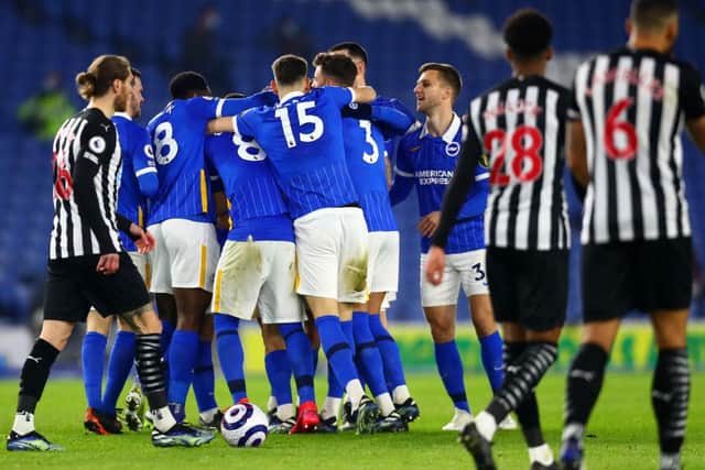 Newcastle United face Brighton and Hove Albion this weekend at St James's Park. (Photo by Clive Rose/Getty Images)