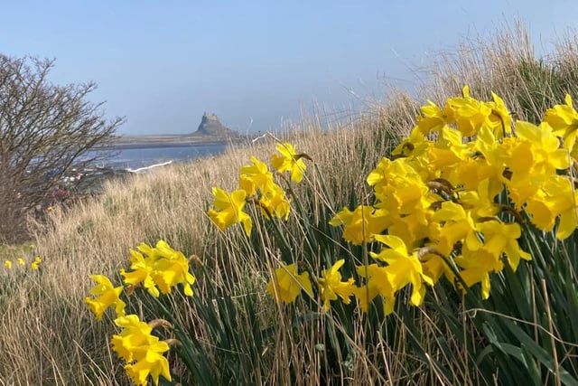 What's not to love about a spring day at the Northumberland coast!