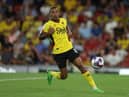 Watford have reportedly revealed their price tag for Joao Pedro (Photo by Richard Heathcote/Getty Images)