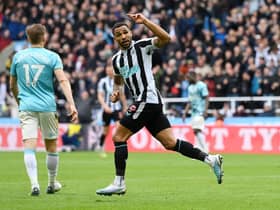 Callum Wilson of Newcastle United celebrates after scoring the team's first goal during the Premier League match between Newcastle United and Southampton FC at St. James Park on April 30, 2023 in Newcastle upon Tyne, England. (Photo by Stu Forster/Getty Images)