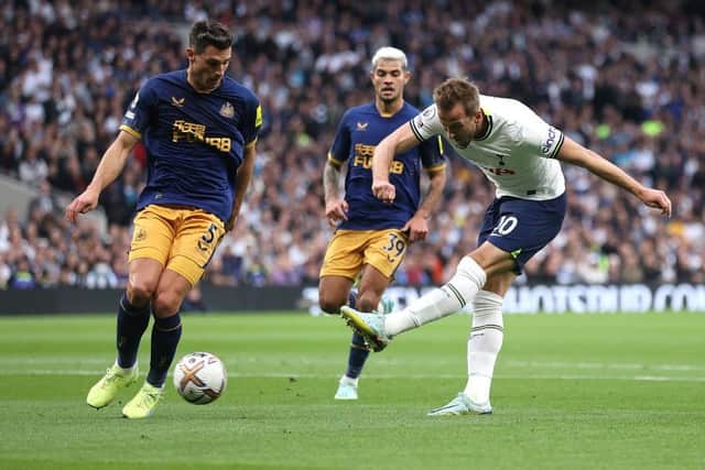 Jose Enrique doesn't believe Newcastle United should sign Harry Kane this window (Photo by Julian Finney/Getty Images)