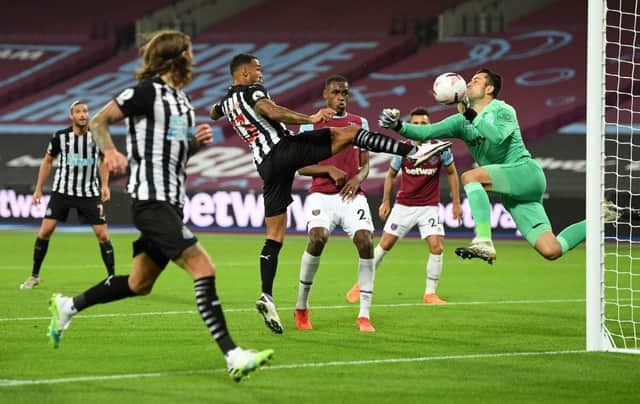 Callum Wilson scores his first goal for Newcastle United.