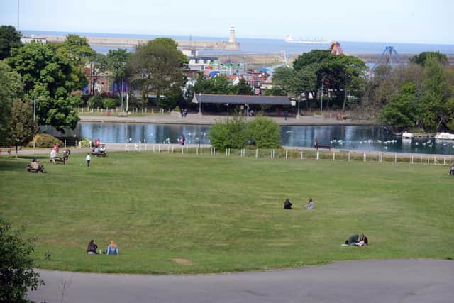 The incident happened in South Marine Park in South Shields.