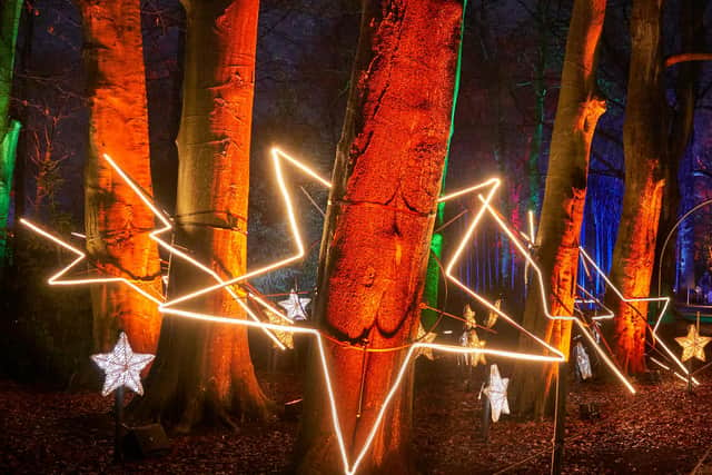 Tree Stars by Culture Creative, My Christmas Trails 2020. Photo by Richard Haughton © Sony Music