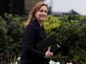 Allegra Stratton said that an EV did not currently fit with her lifestyle (Photo: Dan Kitwood/Getty Images)