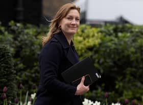 Allegra Stratton said that an EV did not currently fit with her lifestyle (Photo: Dan Kitwood/Getty Images)