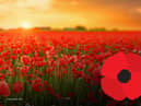 People have been sharing why they wear a poppy ahead of Armistice Day and Remembrance Sunday.