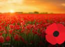 People have been sharing why they wear a poppy ahead of Armistice Day and Remembrance Sunday.