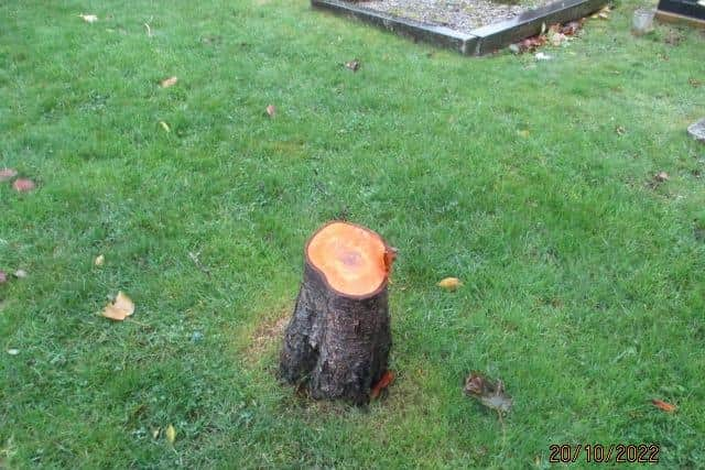 Damage to trees in Hebburn Cemetery.