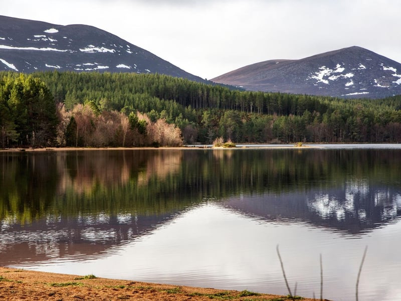Set in the Cairngorms National Park, just east of Aviemore, the circular walk around Loch Morlich is one of Scotland's prettiest, taking around two hours to cover the approximately six miles of path.