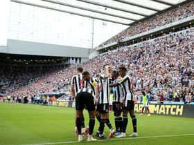 Newcastle United face Brighton & Hove Albion after an opening day win over Nottingham Forest. (Photo by Jan Kruger/Getty Images)