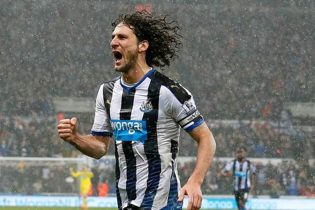 Fabricio Coloccini celerates a goal in 2015.