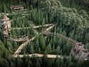 CGI image of The Plotters' Forest at Raby Castle