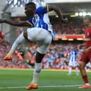 Brighton midfielder Moses Caicedo has been linked with a move to Newcastle United (Photo by LINDSEY PARNABY/AFP via Getty Images)