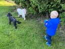 Elijah walking Toby and Poppy
