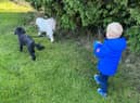 Elijah walking Toby and Poppy