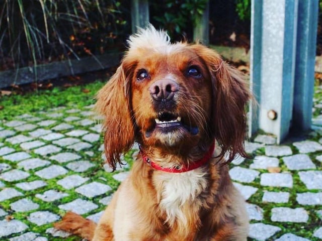 Leo is one of the newest recruits to the Cambridgeshire Constabulary