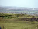 Cleadon Hills is one of South Tyneside's most beautiful natural assets