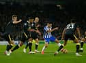 Newcastle United haven't defeated Brighton at the Amex Stadium in the Premier League. (Photo by Charlie Crowhurst/Getty Images)