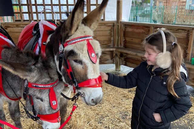 Donkeys Hobo and Bandit were a big hit with pupils at Jarrow Cross. Picture courtesy of the school.