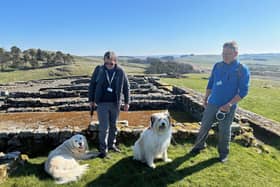 National Trust Volunteers and Dog Rangers, Tom Millmore and Mr Darcy and Charlie Wainwright and Bear at Housesteads Roman Fort in Northumberland