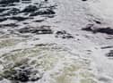 "Water companies pumped raw sewage into Britain's seas and rivers for more than 2.6m hours last year - a 2,500% rise since 2016 including here in South Shields."