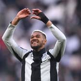 Joelinton is now a fan favourite at St James’s Park 