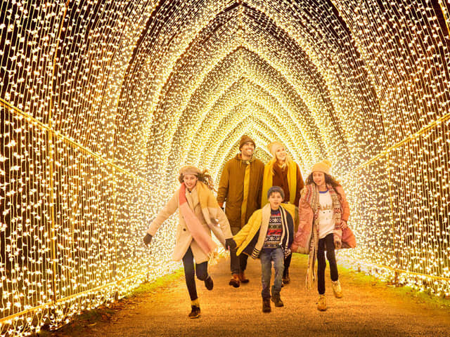 Christmas Cathedral by Mandylights. Photo by Richard Haughton © Sony Music
