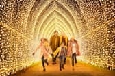Christmas Cathedral by Mandylights. Photo by Richard Haughton © Sony Music