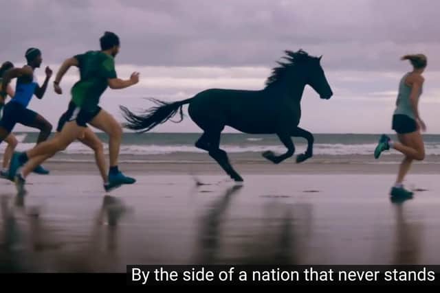 The famous Lloyds Bank black horse alongside runners on Beadnell beach.