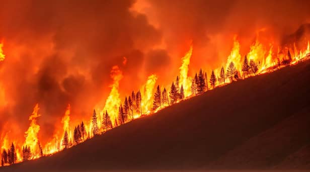 Climate fears over holiday plans (Adobe)