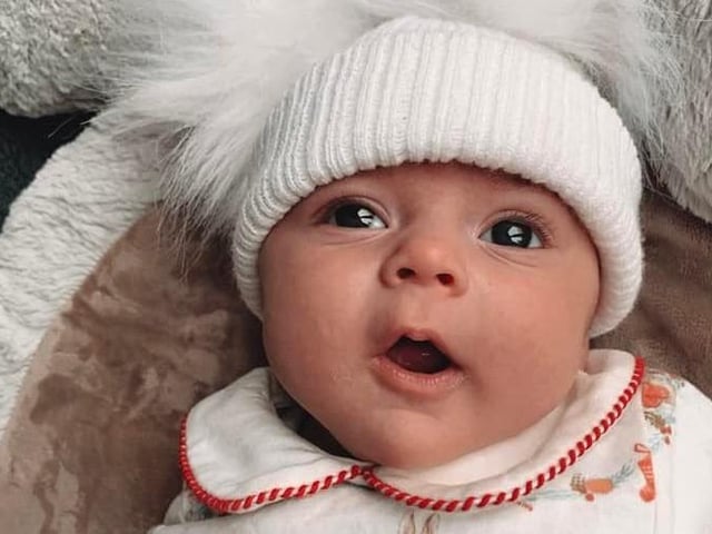 Eight-week-old Lola. Picture: Elicia Louise